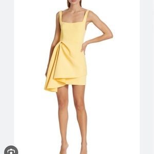 ISO** Acler Clarke Dress